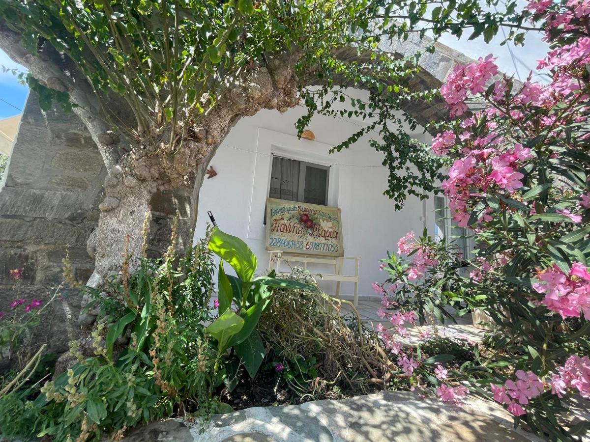 Yannis Maria Rooms Antiparos Town Extérieur photo
